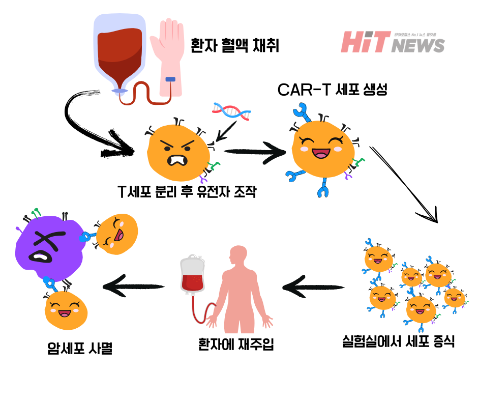 Ex vivo 라이브 바카라 작용 기전