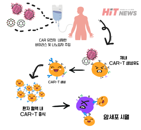 in vivo 라이브 바카라 작용 기전