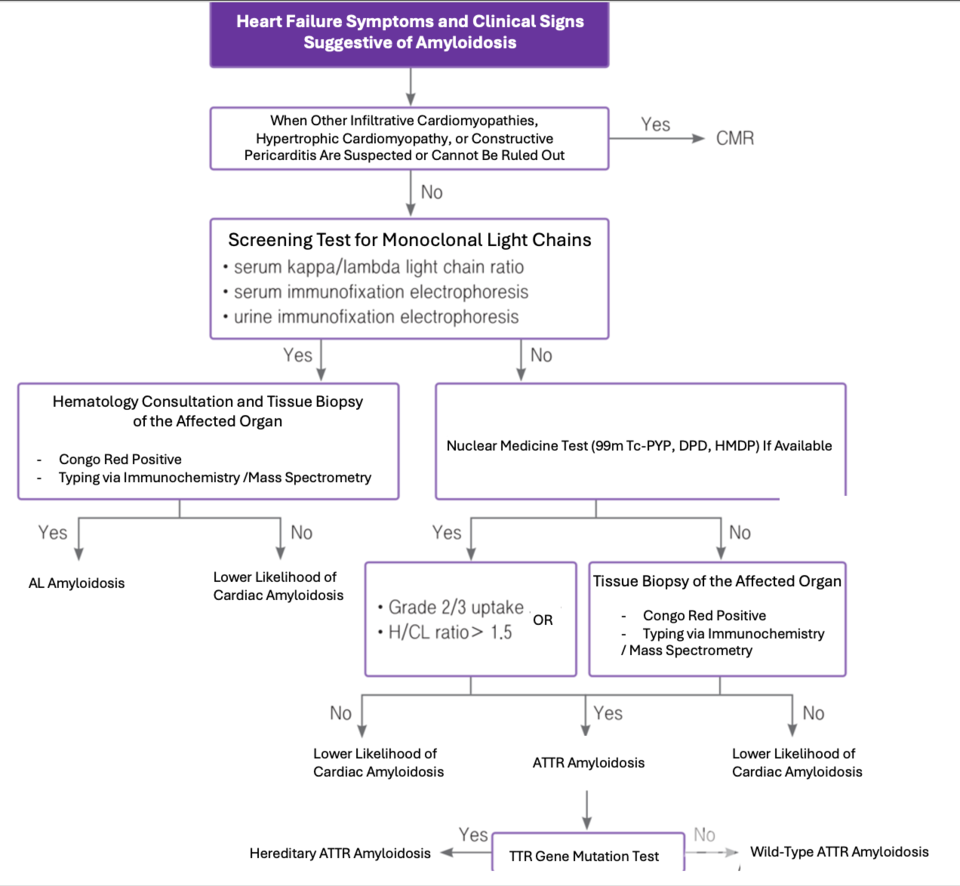 ATTR Cardiac Amyloidosis Diagnostic Algorithm / Source: 2022 Korean Society of Heart Failure "Heart Failure Treatment Guidelines", Translated by Reporter Sodam Park