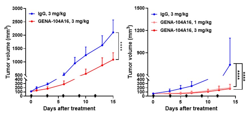 Tumor growth inhibition effect of 해외 바카라 사이트104 in a mouse model implanted with colorectal cancer cells (left); More pronounced effect observed in a high CNTN4-expressing mouse model (right)