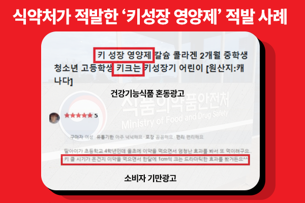 카지노 입플
