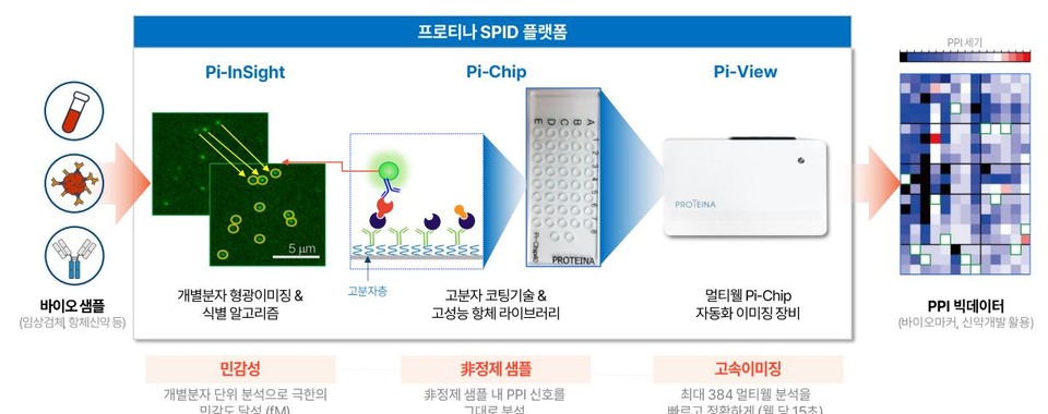 메이저 바카라 사이트 플랫폼 개요 / 자료=프로티나