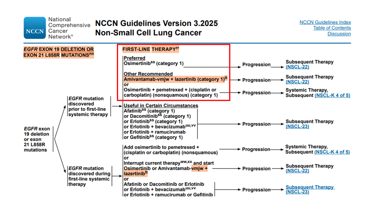 EGFR 엑손 19 결손 또는 엑손 21 치환 변이 국소 진행성 또는 전이성 비소세포폐암 환자 1차 치료 미국암종합네트워크(NCCN) 가이드라인 발췌(2025년 3월 21일 기준)