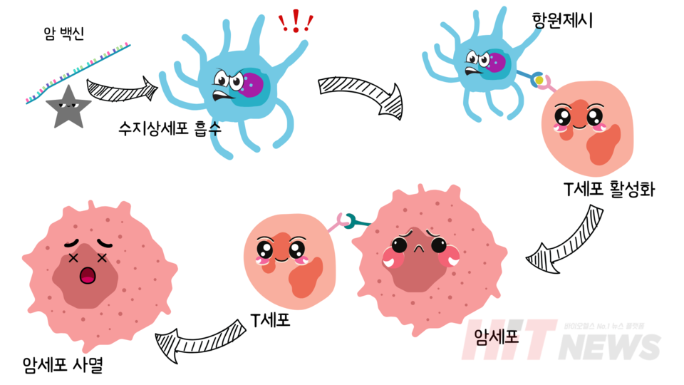 암 백신의 기전 개요 / 그림=심예슬 기자