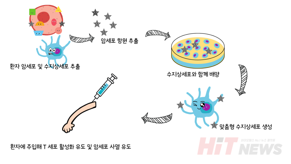 수지상세포 기반 암 백신 / 그림=심예슬 기자