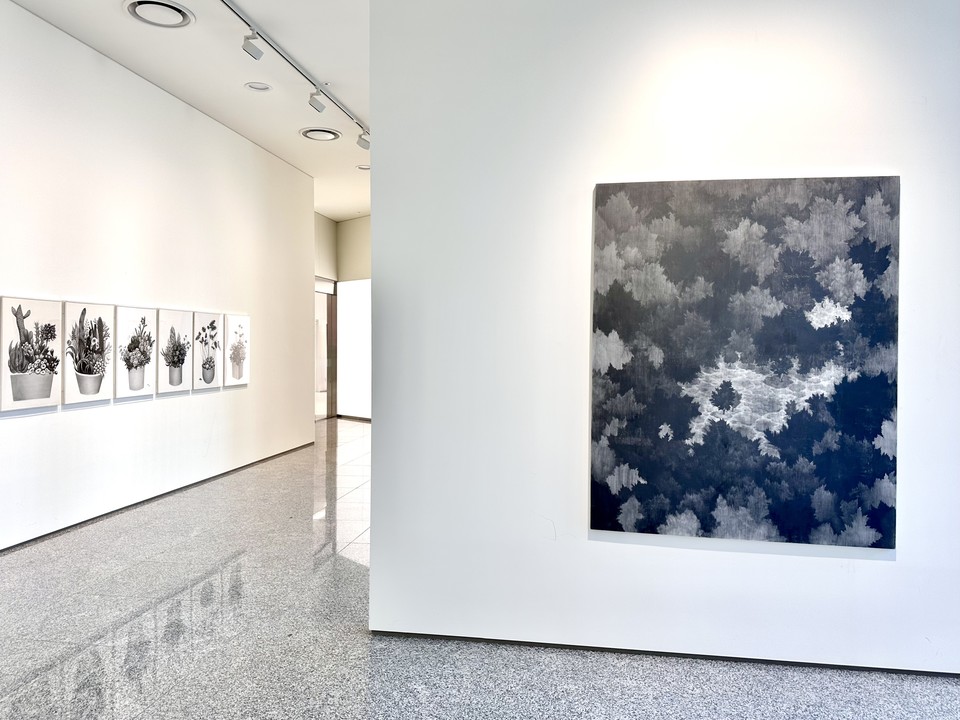 안국문화재단 '숲 그리고 숲' 展
