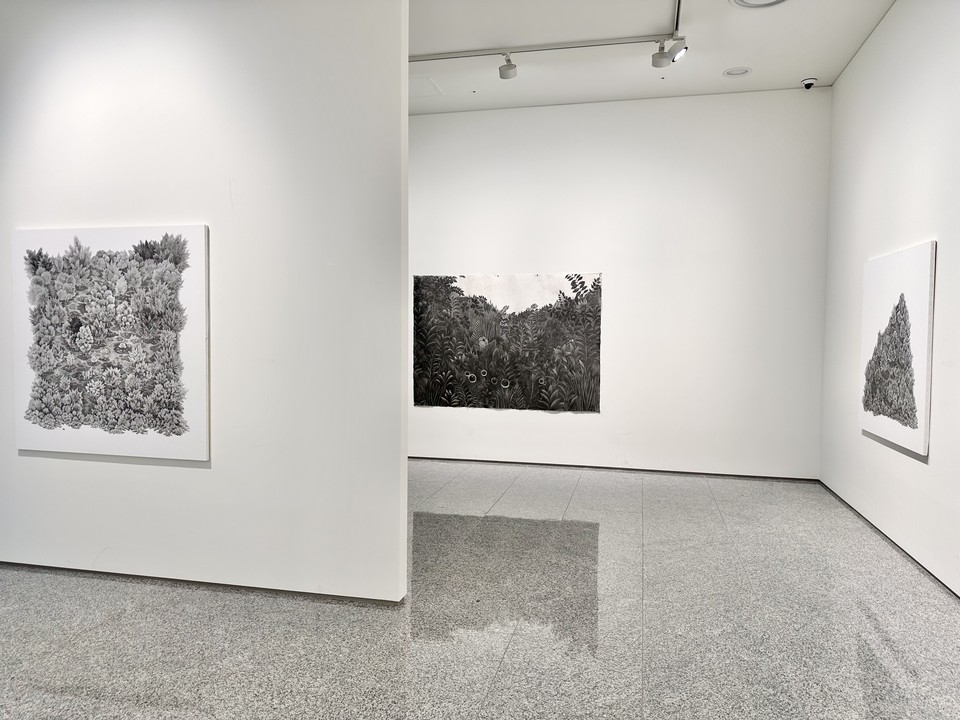 안국문화재단 '숲 그리고 숲' 展