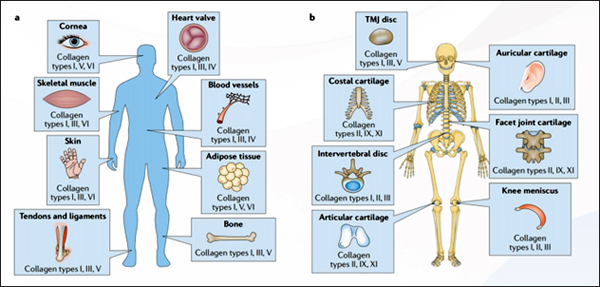 /이미지=비앤피코리아.