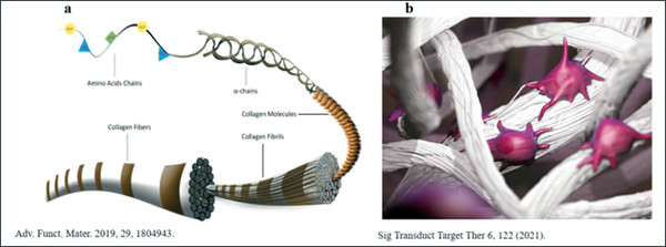 /이미지=비앤피코리아.