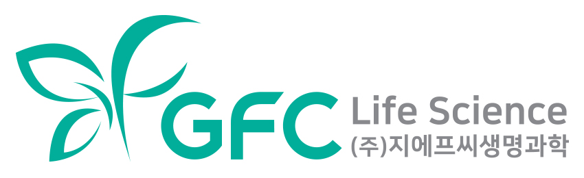 온라인 카지노 사이트