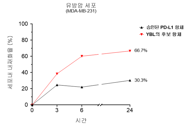 삼중음성 유방암 세포에서 와이바이오로직스의 후보 슬롯 머신 일러스트와 승인된 PD-1 슬롯 머신 일러스트의 내재화율 비교 데이터 / 그래픽=와이바이오로직스
