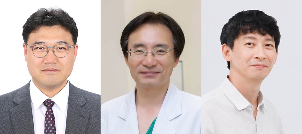 (왼쪽부터) 서울메이저 바카라 의생명연구소 전은성 교수·간담도췌외과 김송철 교수, KAIST 바이오및뇌공학과 최정균 교수 / 사진=서울메이저 바카라