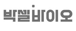 카지노 토토