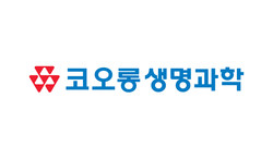 무료 슬롯사이트