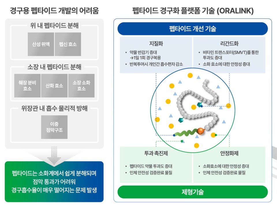 해외 바카라 사이트