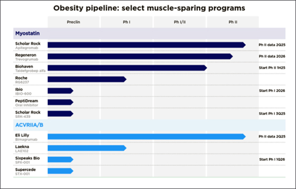 그림 2: Obesity Pipeline: Select muscle-sparing programs