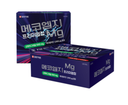 무료 바카라 게임