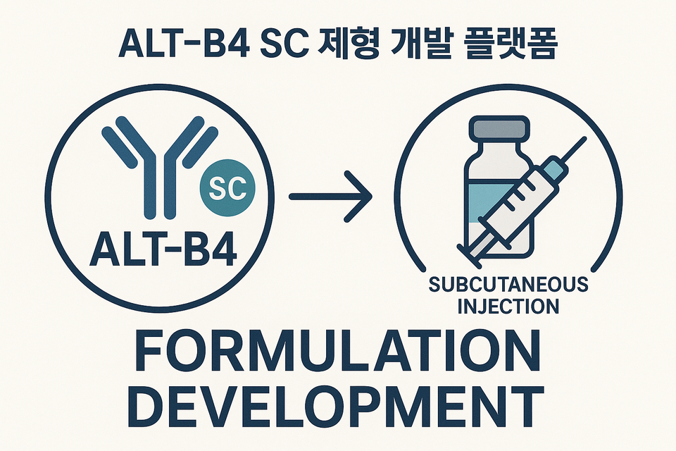 바카라 드래곤 판다