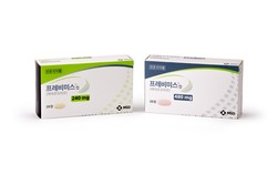 토토 도박
