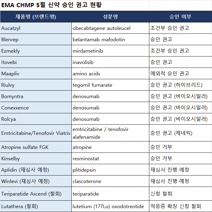 바카라 사이트 디시