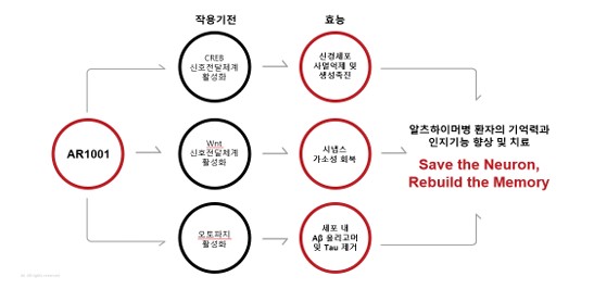 AR1001 작용 기전 / 그래픽=아리바카라사이트