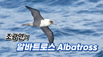 바카라 가상 머니 사이트