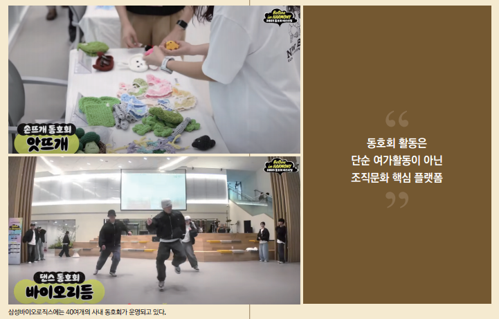 바카라 나락