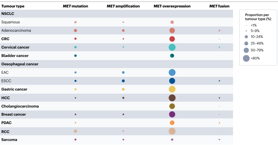 암종별 MET 변이 발생 비율 / 조병철 교수팀 논문 발췌
