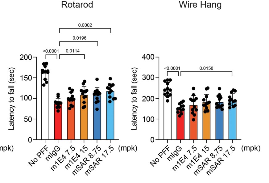SAR446159는 대조군(mIgG) 그룹 대비 쥐의 운동 능력을 개선 시켰다 (p<0.05) / 출처=A brain-shuttled antibody targeting alpha synuclein aggregates for the treatment of synucleinopathies SAR446159(npj Parkinson's Disease, 2025)