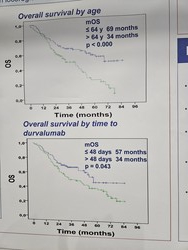 연령층에 따른 임핀지 투여 결과