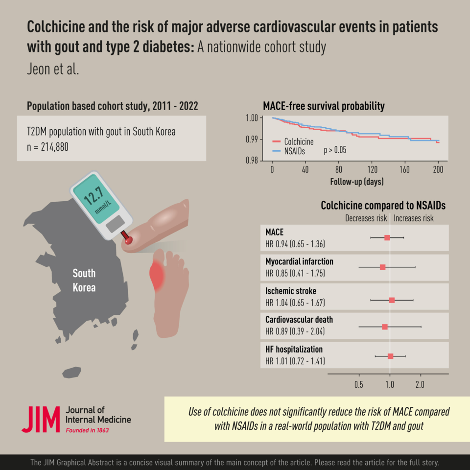 제2형 당뇨 및 통풍 환자에서의 콜키신 사용과 주요 심혈관사건 예방효과 비교 연구 결과(논문명 : Colchicine and the risk of major adverse cardiovascular events in patients with gout and Type 2 diabetes: A nationwide cohort study / 사진=성균관대 약학대학