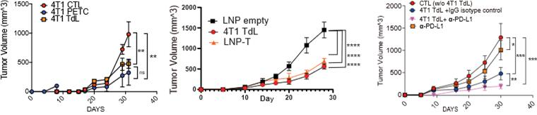 신항원 기반 치료 후 종양 성장 억제 효과(왼쪽). TdL 투여군은 대조군(CTL)에 비해 종양 성장 속도가 늦춰졌다. (가운데) 신항원-LNP 투여군(LNP-T군)과 TdL군 모두 종양 크기가 유의하게 감소하여 강력한 억제 효과를 보였으나, 그중에서도 TdL군의 억제가 더 뚜렷했다(오른쪽). TdL에 면역관문억제제(a-PD-L1)를 병합했을 때는 단독 투여보다 항암 효과가 뚜렷하게 강화됐다. / 사진=서울대병원
