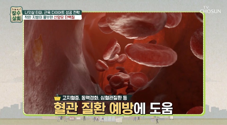 Tv 조선 채널 캡쳐