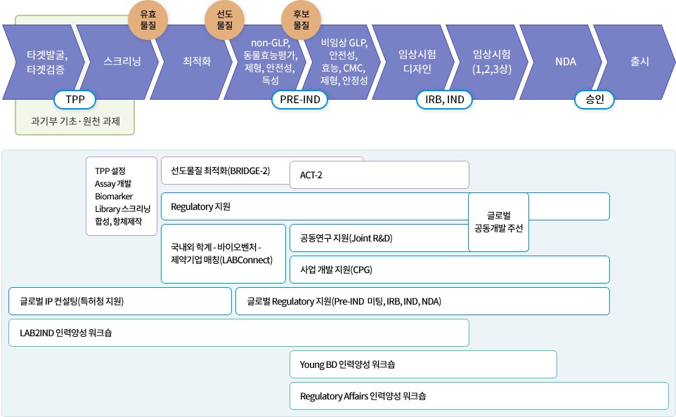 신약 개발 단계와 KDDF 국가신약개발사업 지원 내용 / 사진=KDDF 웹사이트