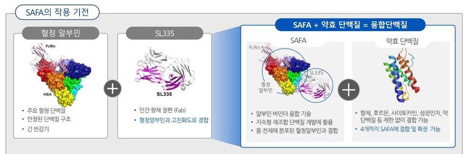 에이프릴바이오 'SAFA' 플랫폼 작용기전 / 자료=에이프릴바이오 IR book(2024.12)