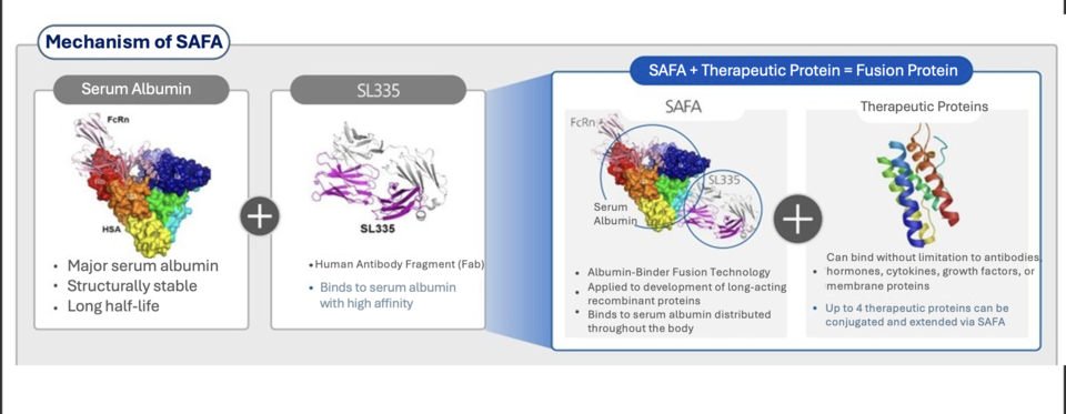Mechanism of Action of AprilBio’s ‘SAFA’ Platform / Source: AprilBio IR Book (Dec 2024)