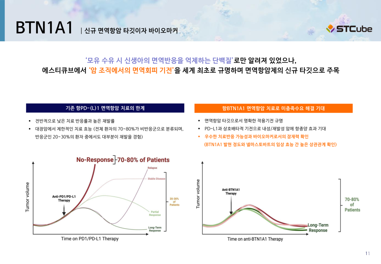 에스티큐브 IR자료 발췌