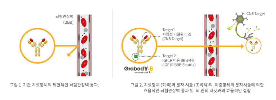 그랩바디 기술 설명 / 출처=에이비엘바이오 웹사이트