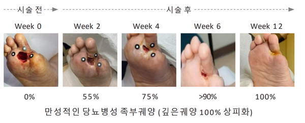 사진 = 로킷헬스케어