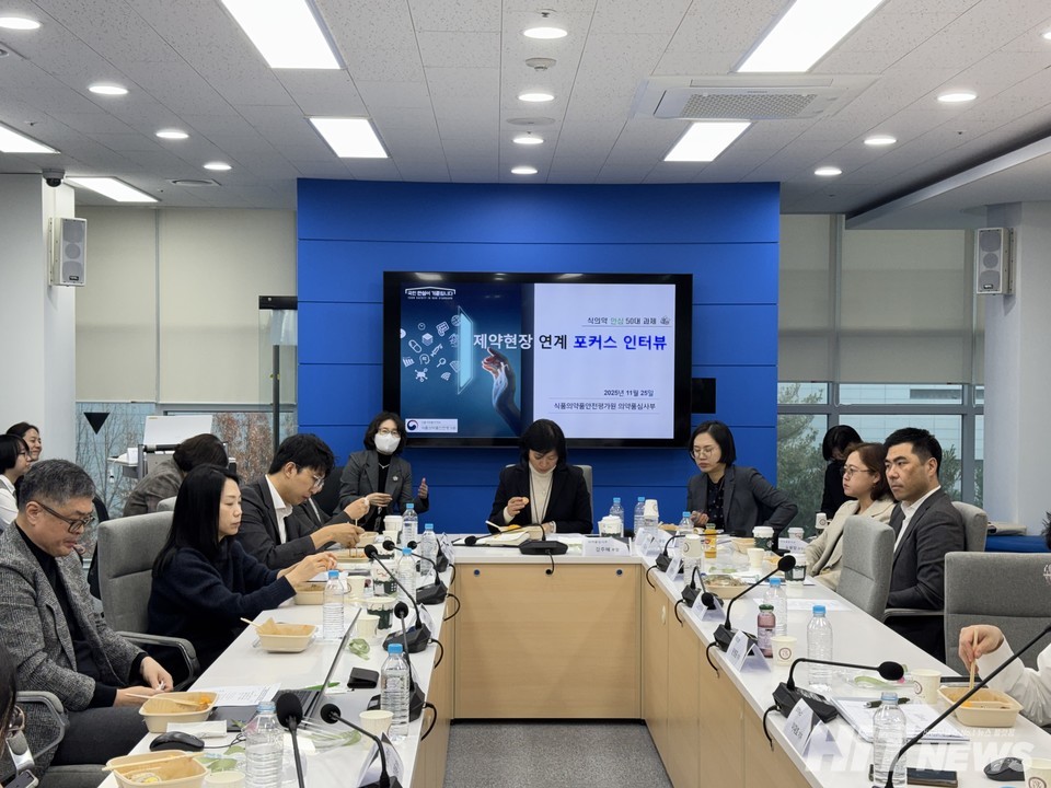 식약처 의약품 심사부 간담회 모습.