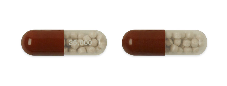 노자임캡슐 25000 이미지. 사진= 한국팜비오 제공