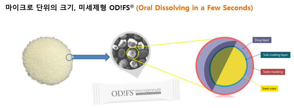 ODiFS 마이크로 입자 단면도