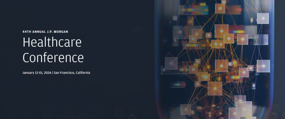 JP모건 웹사이트