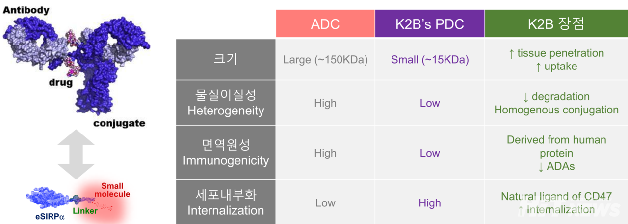 ADC와 K2B의 PDC 플랫폼 비교 / 출처=K2B 테라퓨틱스 