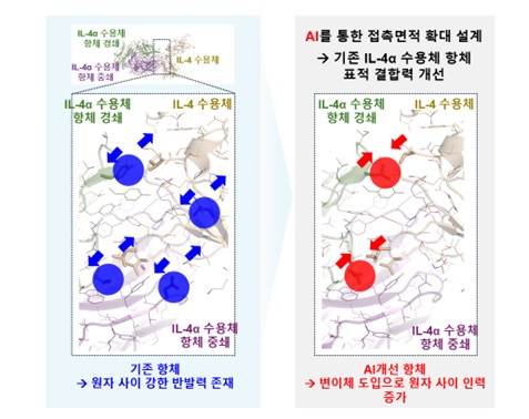 AI 모델링을 통한 항체의 표적 결합력 개선. 출처=지아이이노베이션