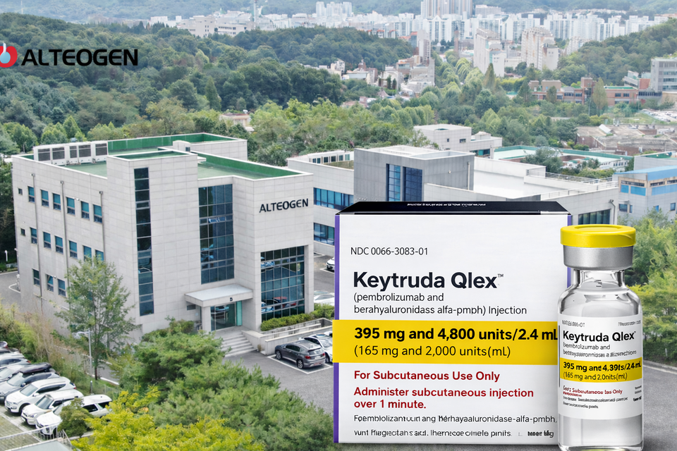 사진 = 챗지피티 생성 이미지