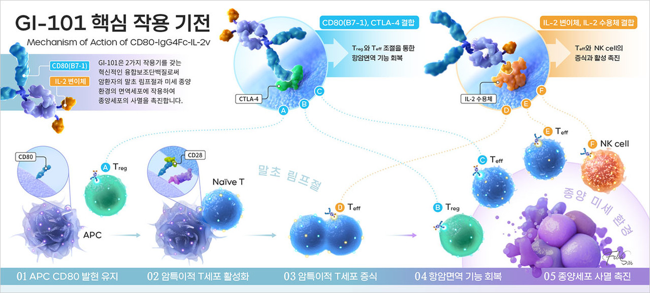 GI-101 핵심 작용 기전 / 출처=지아이이노베이션 웹사이트