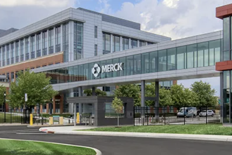 사진 = MSD 홈페이지