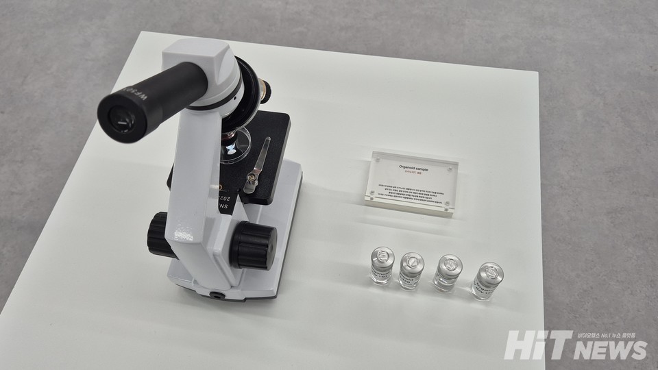 오가노이드사이언스 피부 오가노이드 샘플. / 사진= 김동우 기자