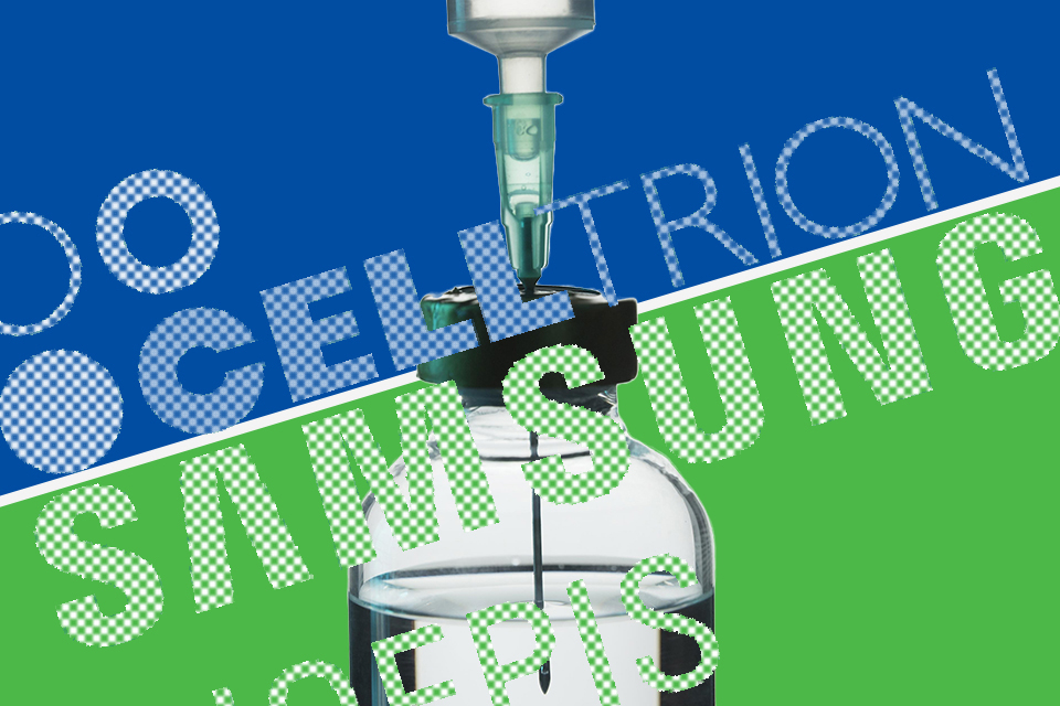 그래픽=이우진.